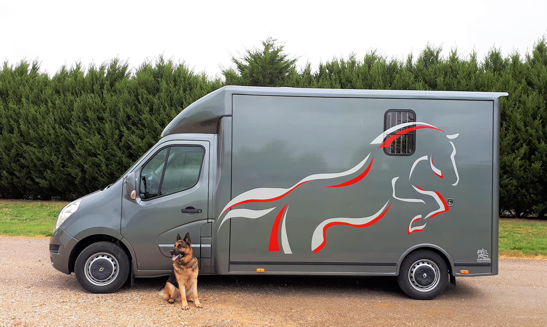 vente de vans d occasion pour chevaux