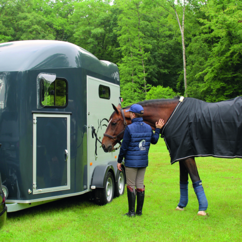 GOLD 3 - HIPPODROME - TROIS QUART AVANT - ATTELE - PAUL + CHEVAL ATTACHE VAN